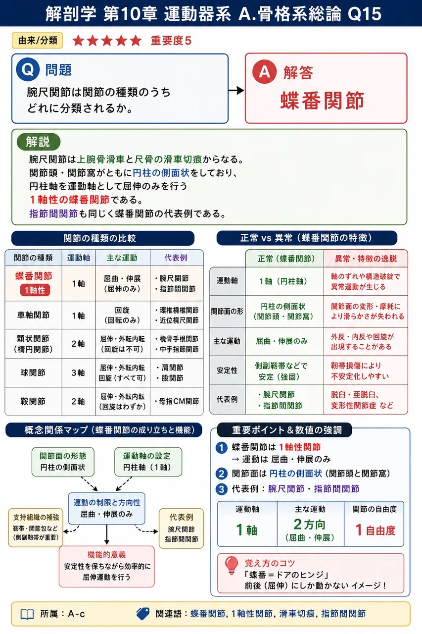 腕尺関節は関節の種類のうちどれに分類されるか。 解説図