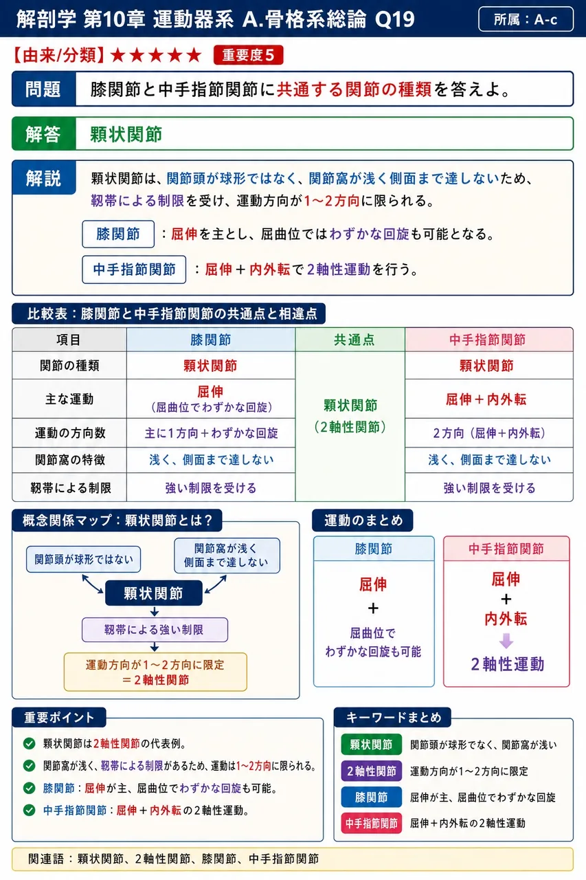 膝関節と中手指節関節に共通する関節の種類を答えよ。 解説図