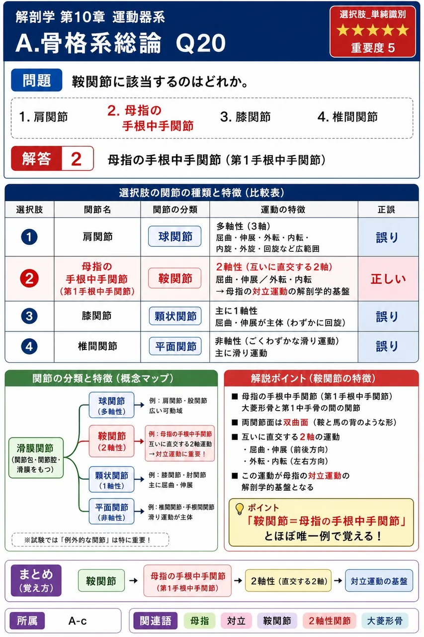 関節の種類と代表例の組合せで誤っているのはどれか。 解説図