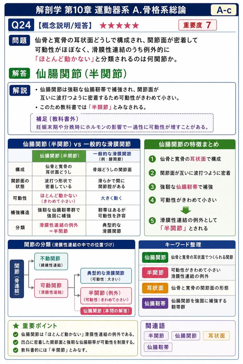 仙骨と寛骨の耳状面どうしで構成され、関節面が密着して可動性がほぼなく、滑膜性連結のうち例外的に「ほとんど動かない」と分類されるのは何関節か。 解説図