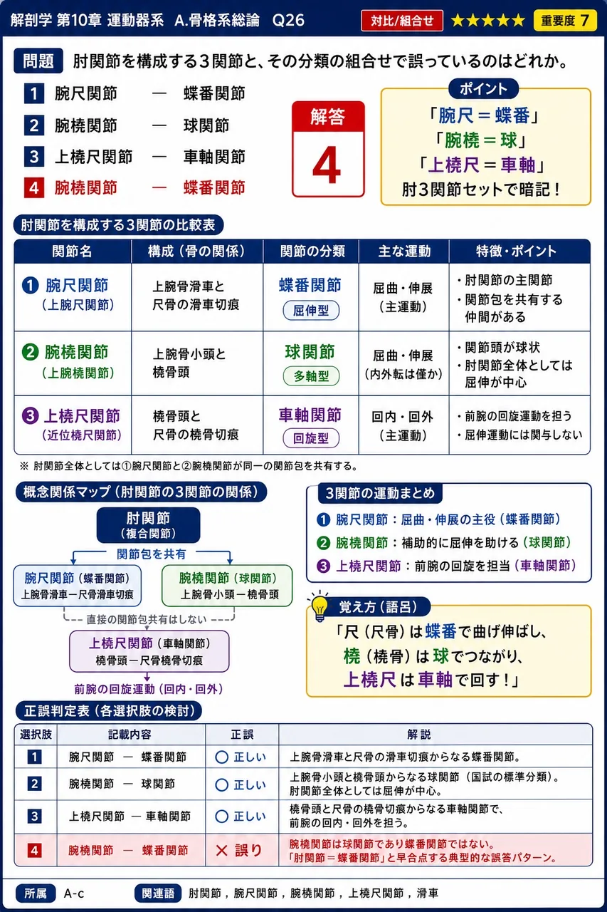 関節包の内層を構成し、滑液を分泌する膜は何か。 解説図