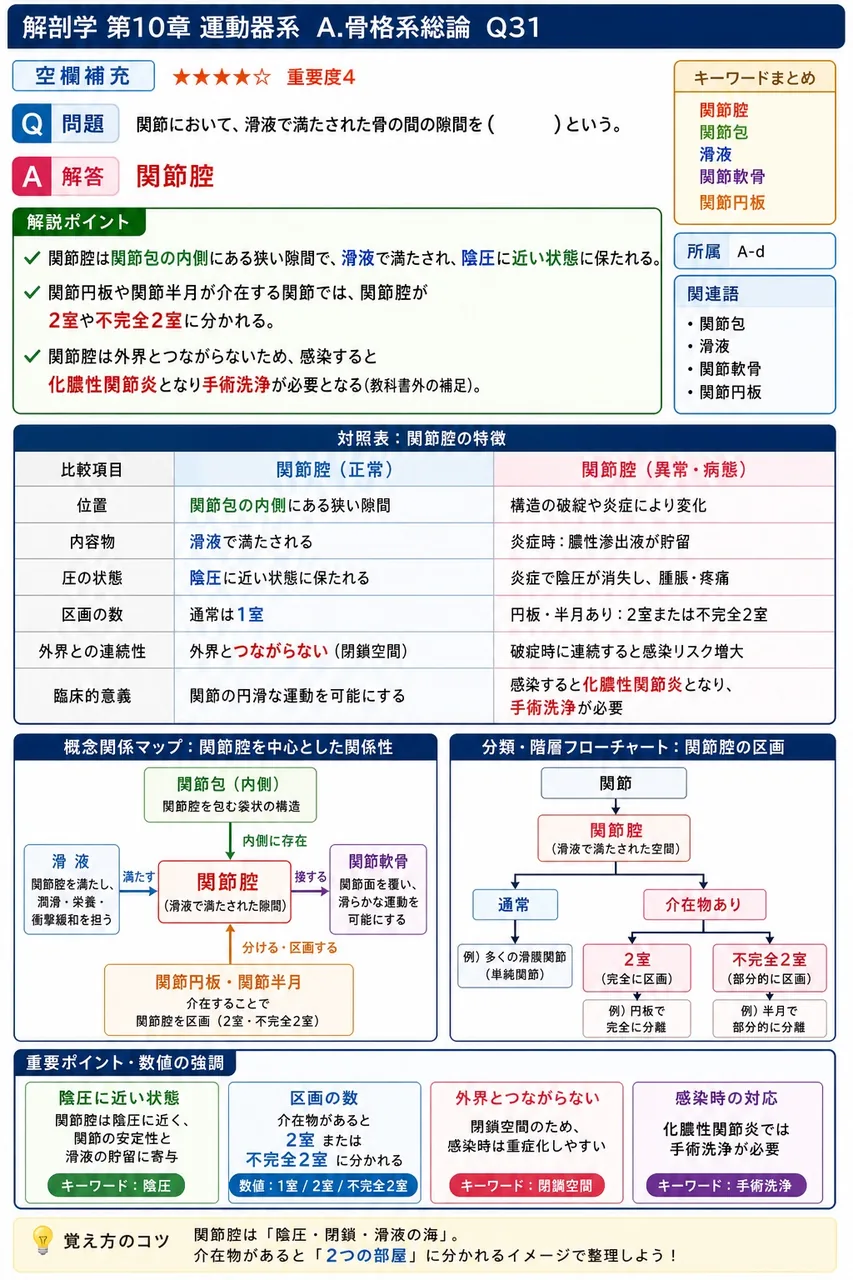 関節において、滑液で満たされた骨の間の隙間を( )という。 解説図