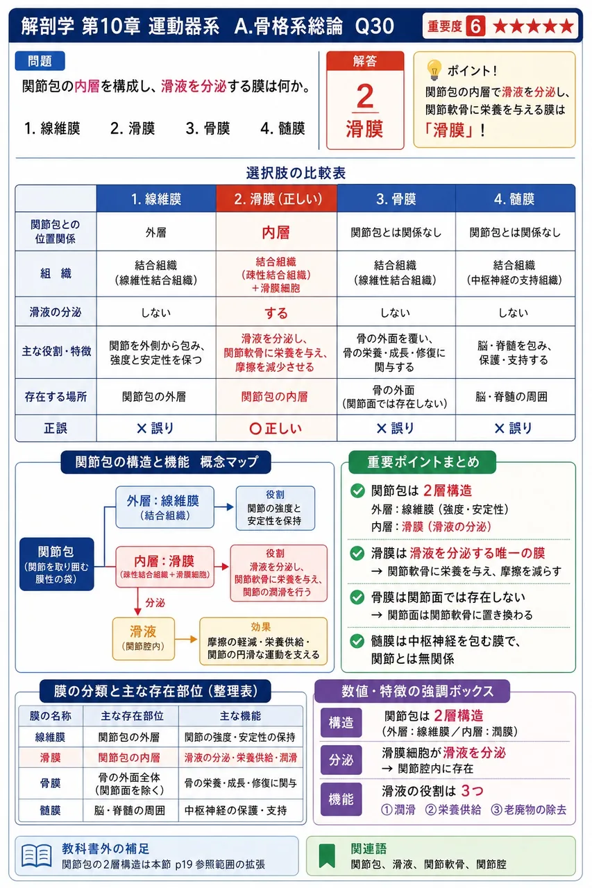 関節をつくる骨の関節面を覆い、骨膜のかわりに摩擦の軽減と衝撃吸収を担う軟骨は何か。 解説図