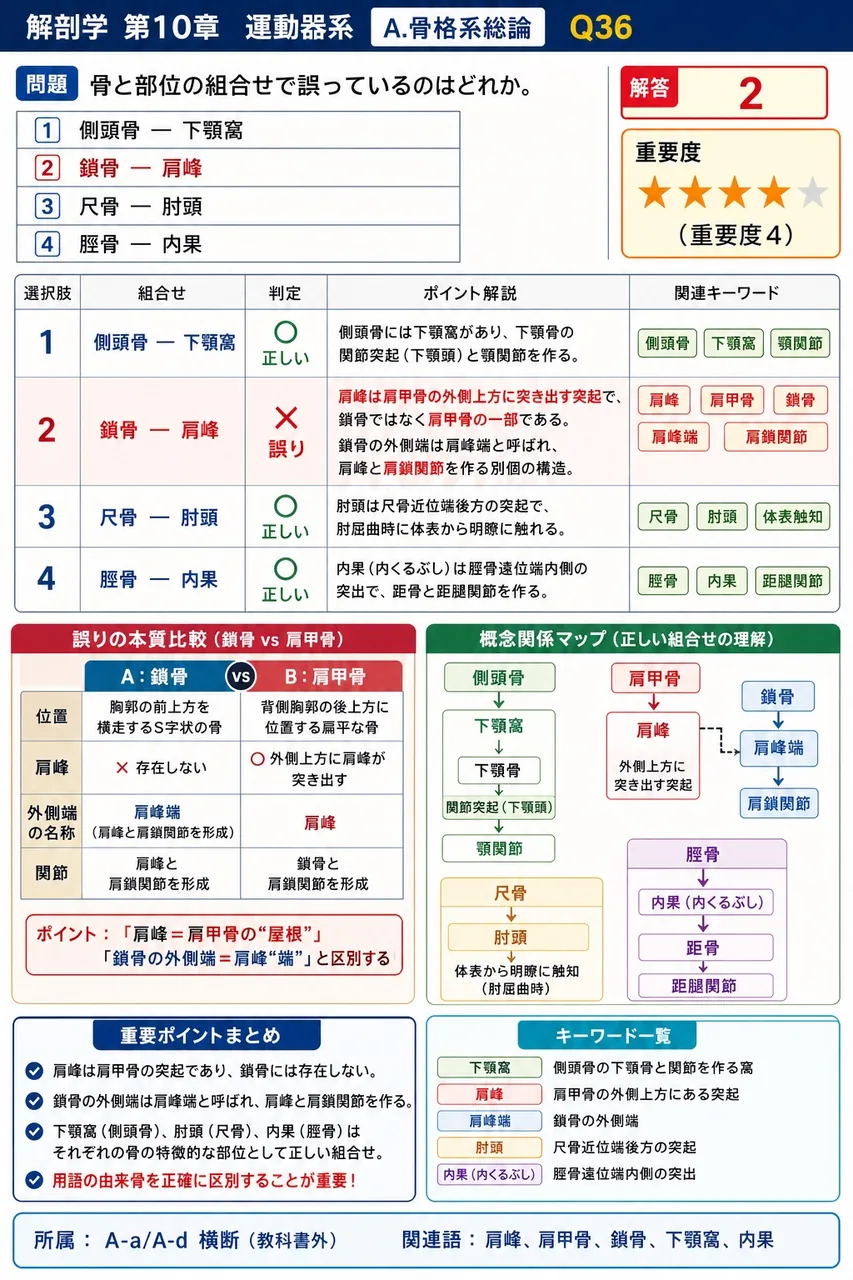 骨と部位の組合せで誤っているのはどれか。 解説図