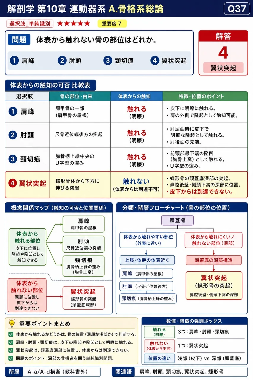 体表から触れない骨の部位はどれか。 解説図