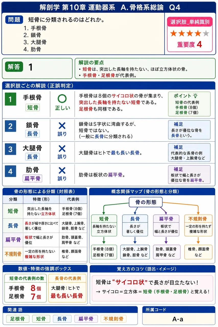 膜内骨化により形成される骨はどれか。 解説図