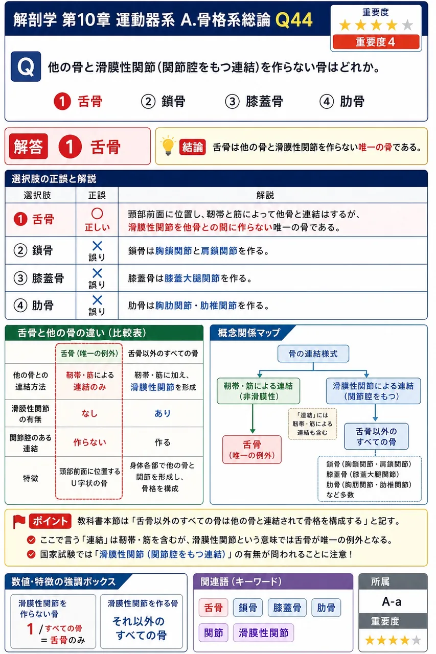 他の骨と滑膜性関節(関節腔をもつ連結)を作らない骨はどれか。 解説図