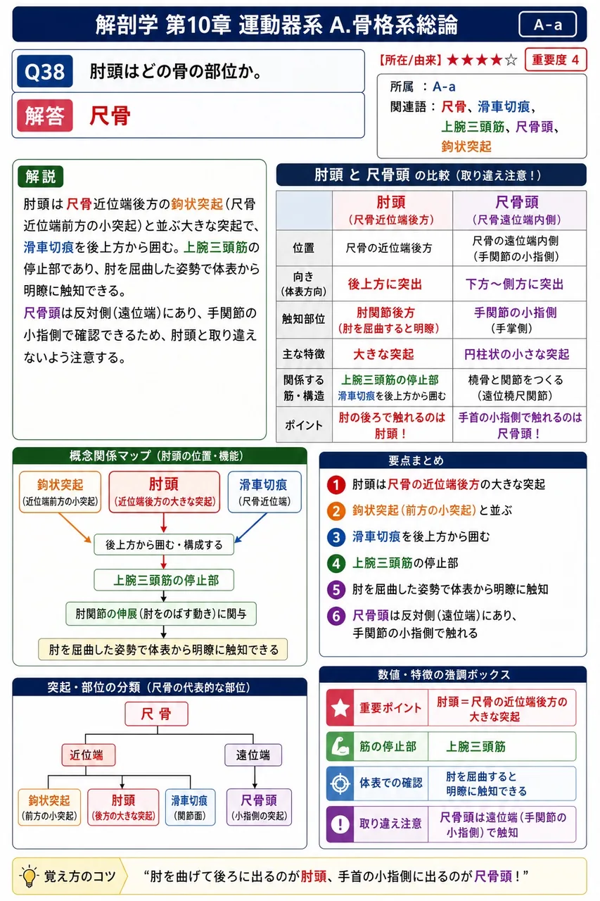 人体の支柱として形を維持し、内臓・中枢神経の保護や血球生産・カルシウム貯蔵を担う器官系を( )という。 解説図