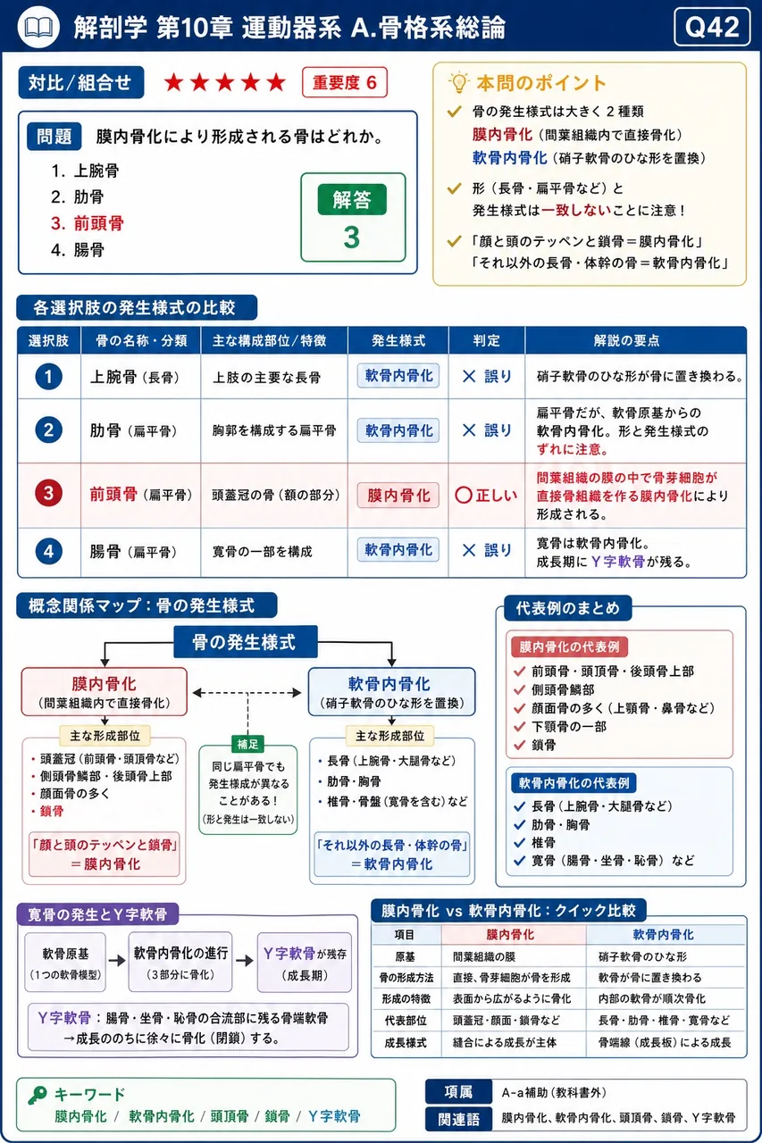 緻密質の微細構造についての記述で正しいのはどれか。 解説図