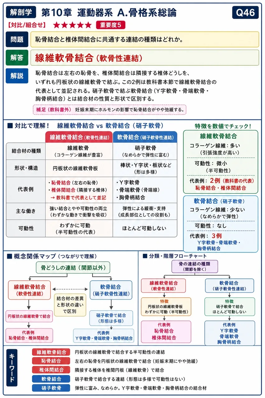仙腸関節のレベルを示す体表指標で、腸骨稜後端にあり腰部下端でくぼみ(ビーナスのえくぼ)を作る部位を何というか。 解説図