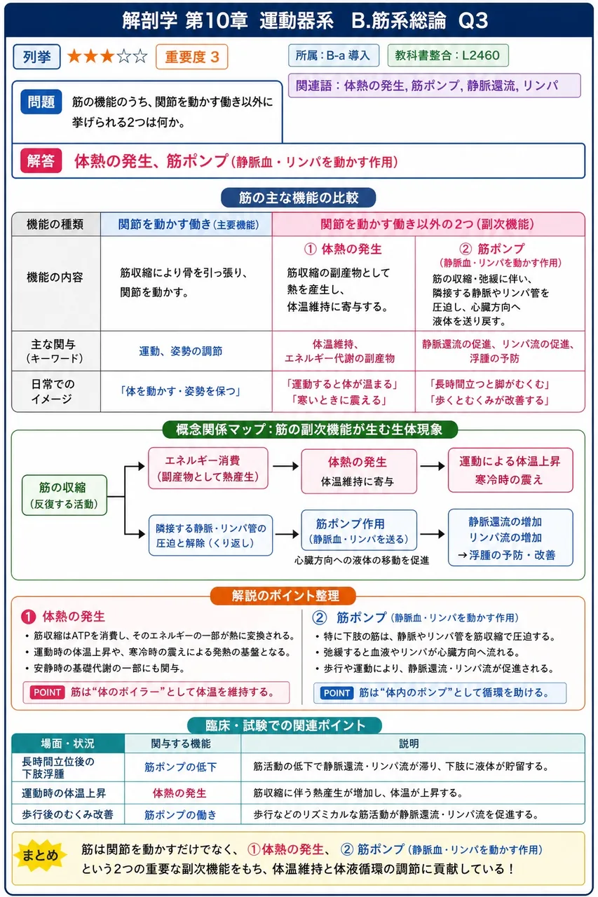 筋の機能のうち、関節を動かす働き以外に挙げられる2つは何か。 解説図