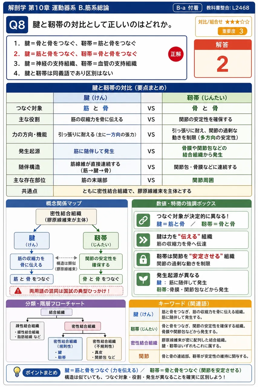 腱と靭帯の対比として正しいのはどれか。 解説図
