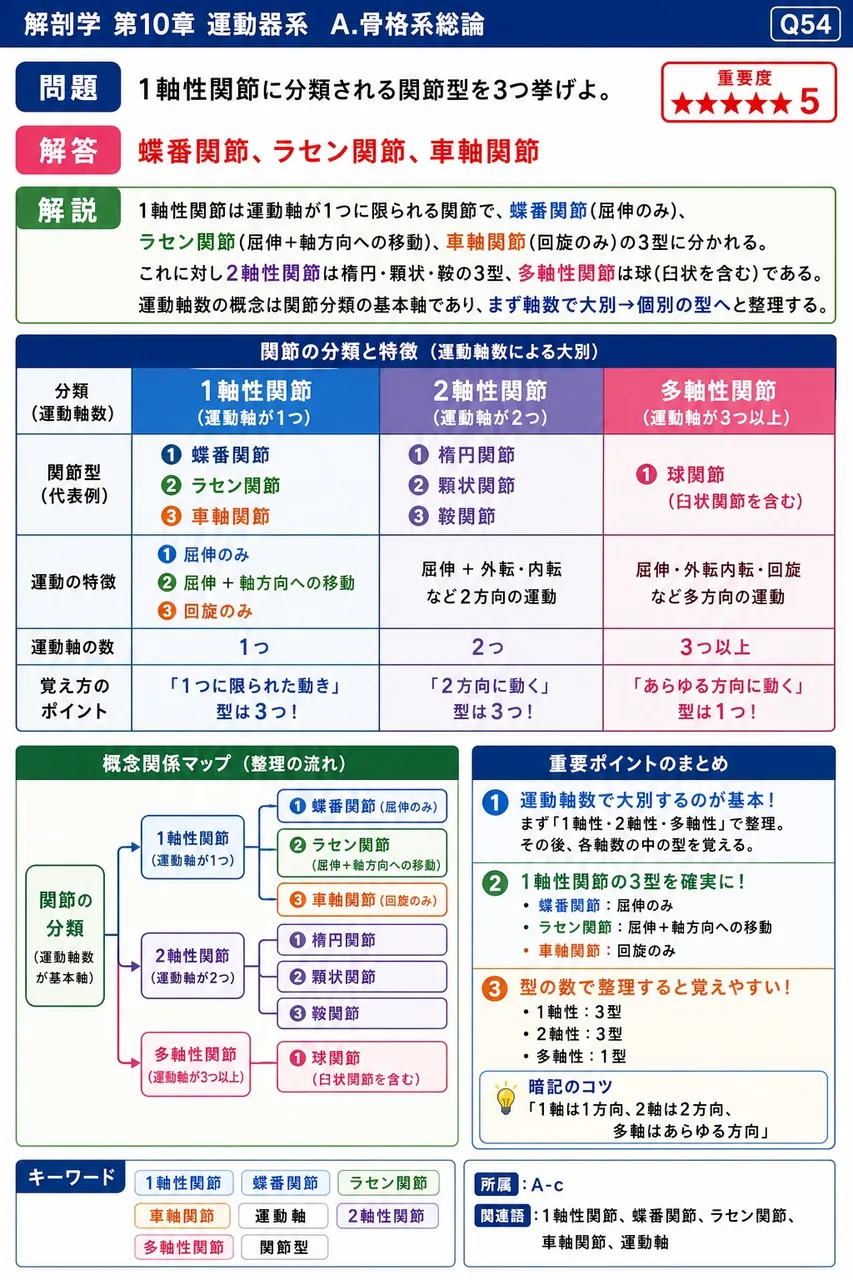 顔面の表情筋のように、一端が皮膚に付着する筋を総称して何というか。 解説図