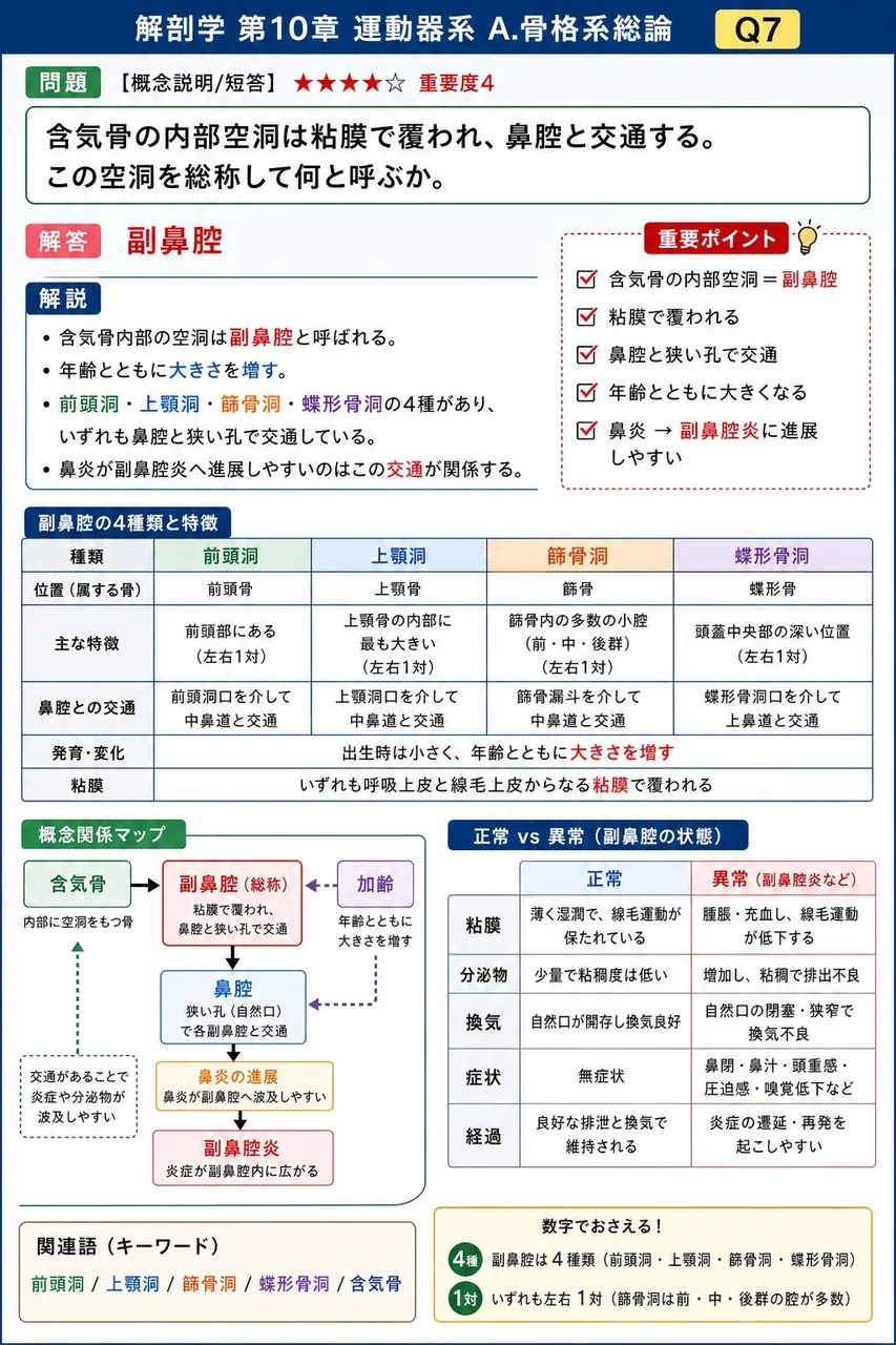 中間腱と二頭筋・二腹筋の関係について正しい組合せはどれか。 解説図