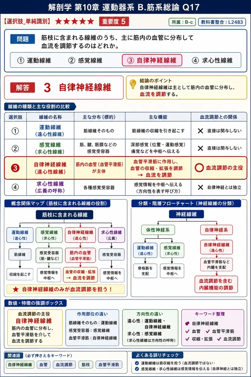 横隔膜を支配する神経はどれか。 解説図