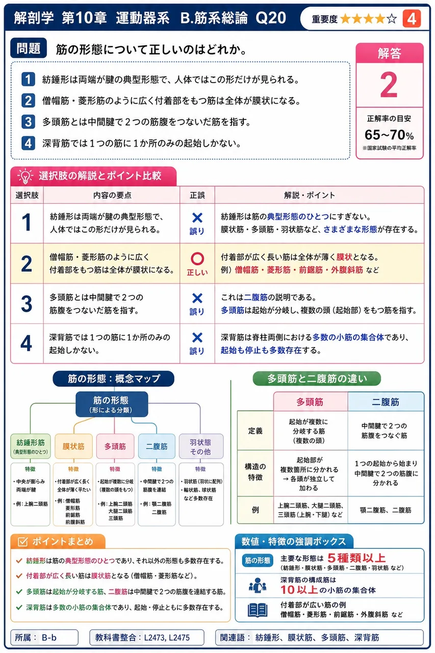 肩峰と棘上筋腱・三角筋の間の摩擦を減らす補助装置はどれか。 解説図