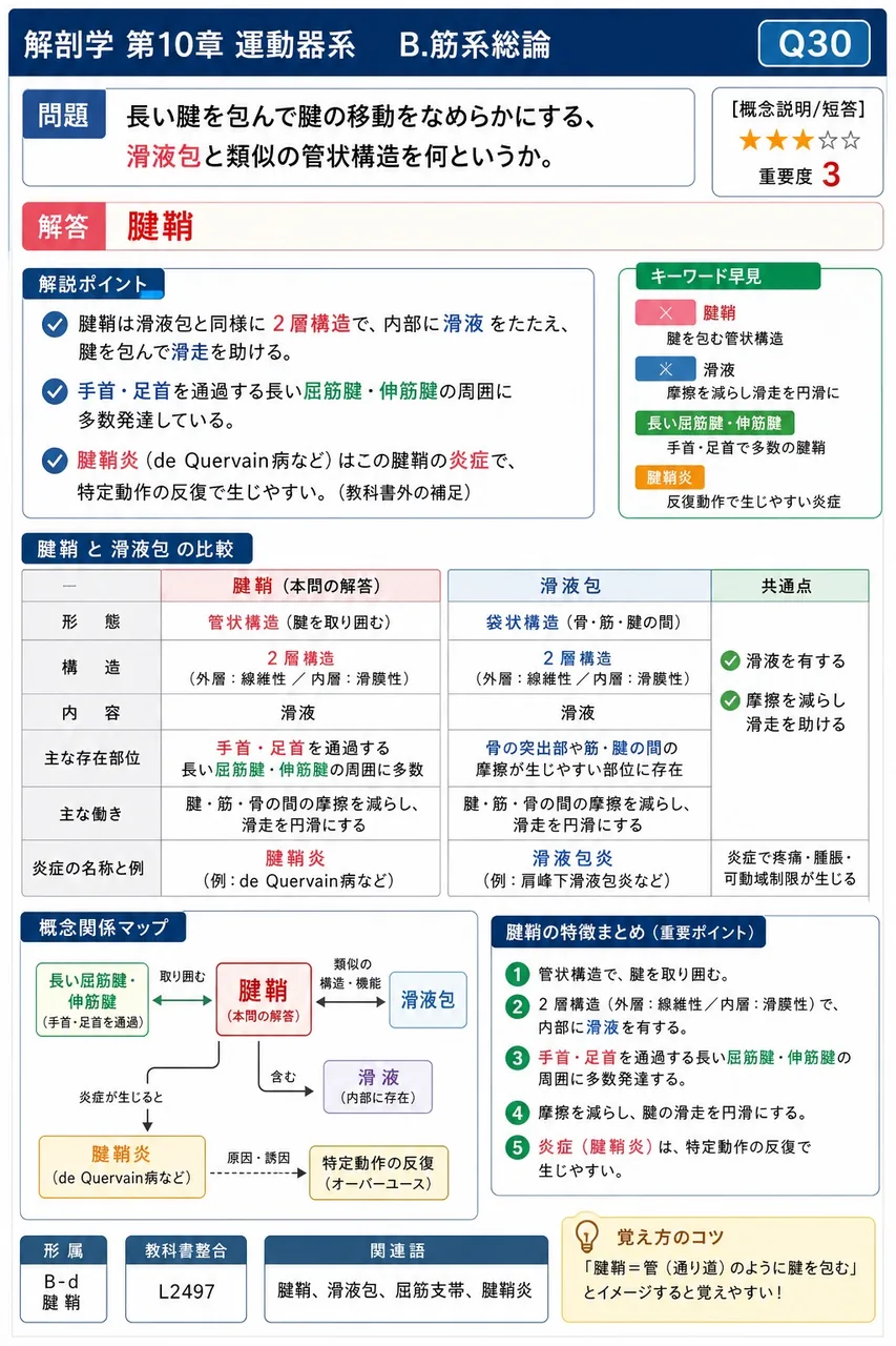 長い腱を包んで腱の移動をなめらかにする、滑液包と類似の管状構造を何というか。 解説図