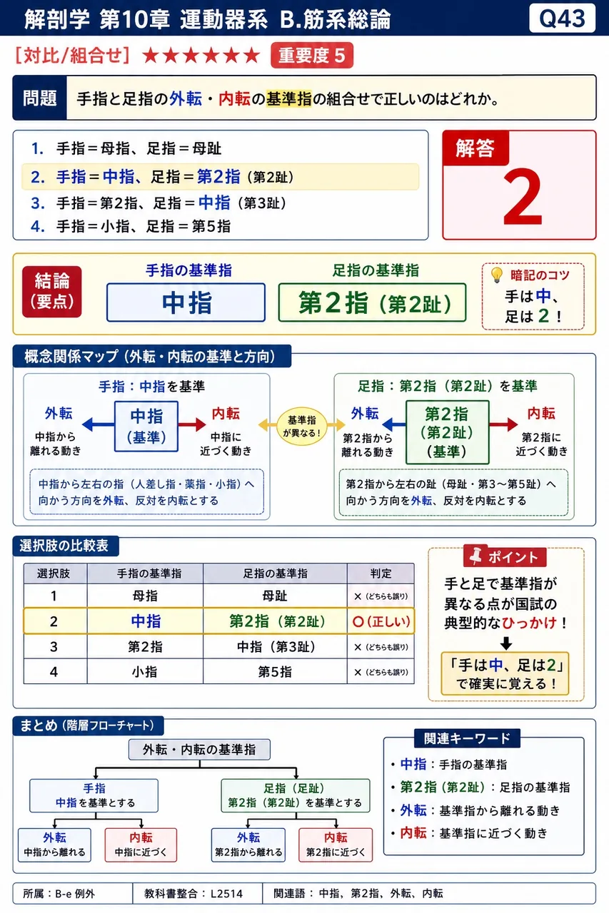 手指と足指の外転・内転の基準指の組合せで正しいのはどれか。 解説図