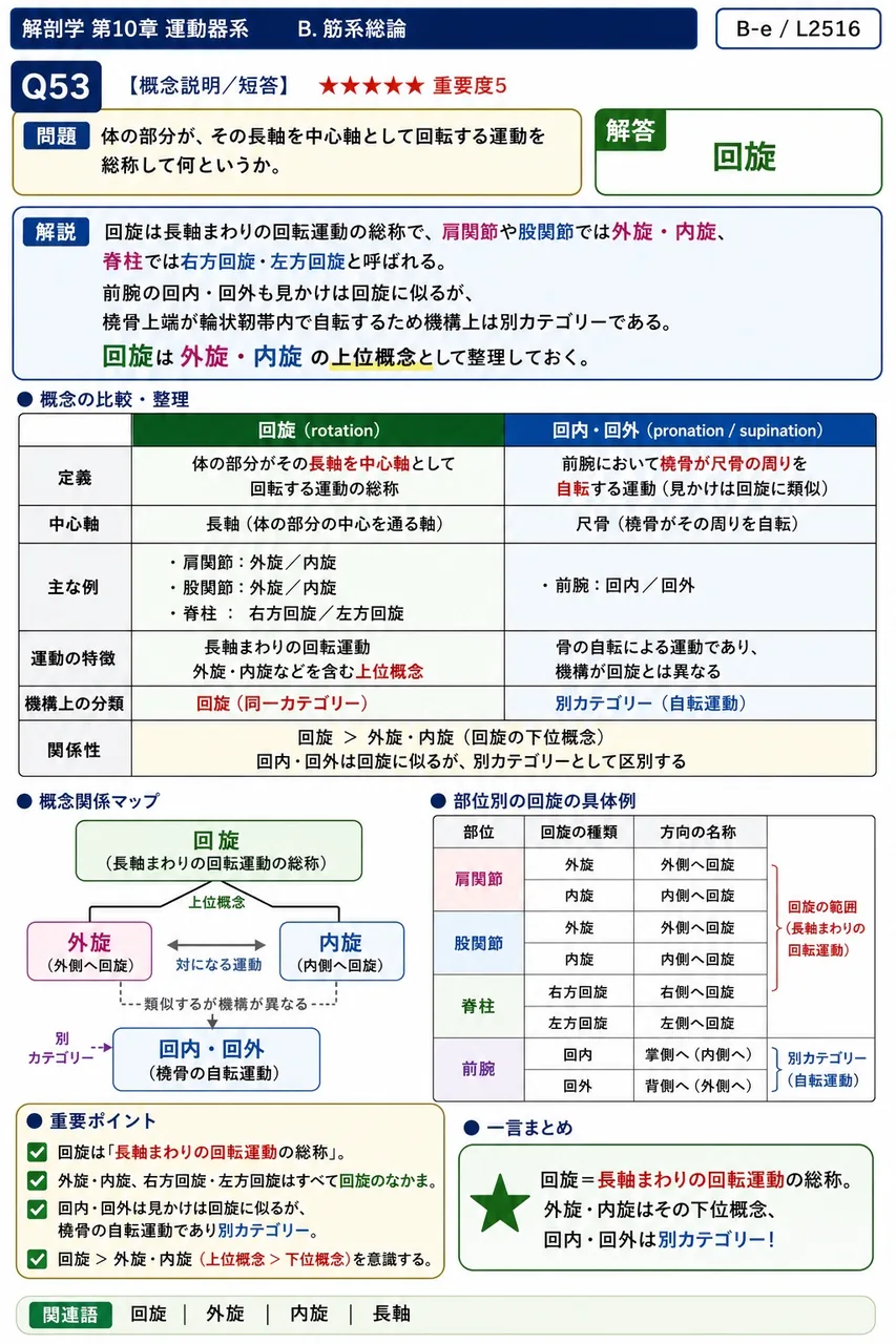 体の部分が、その長軸を中心軸として回転する運動を総称して何というか。 解説図