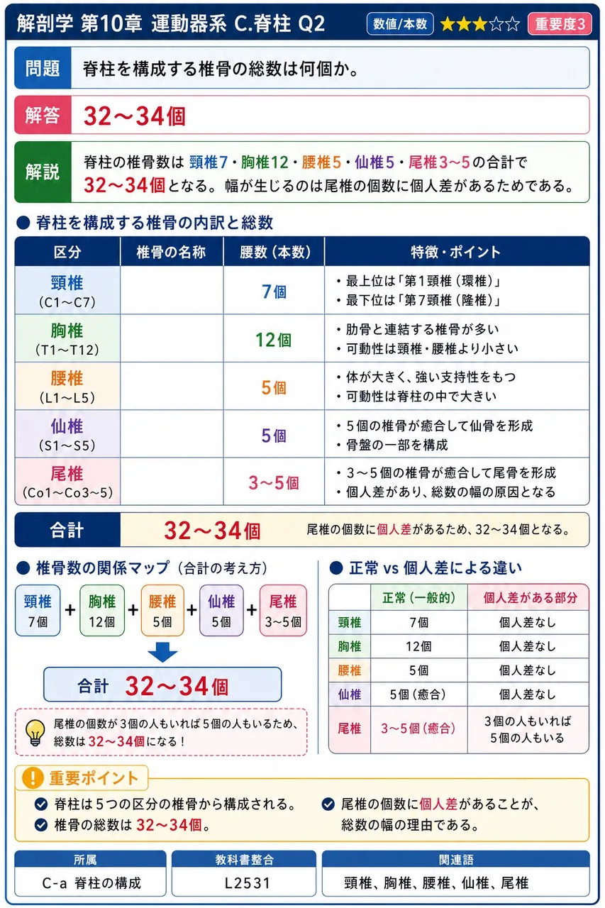 脊柱を構成する椎骨の総数は何個か。 解説図