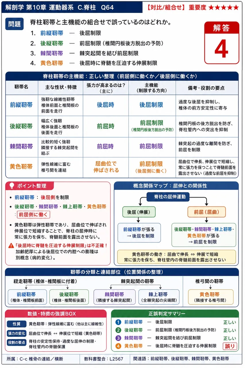 椎体と椎弓に囲まれた中央の空間を何というか。 解説図