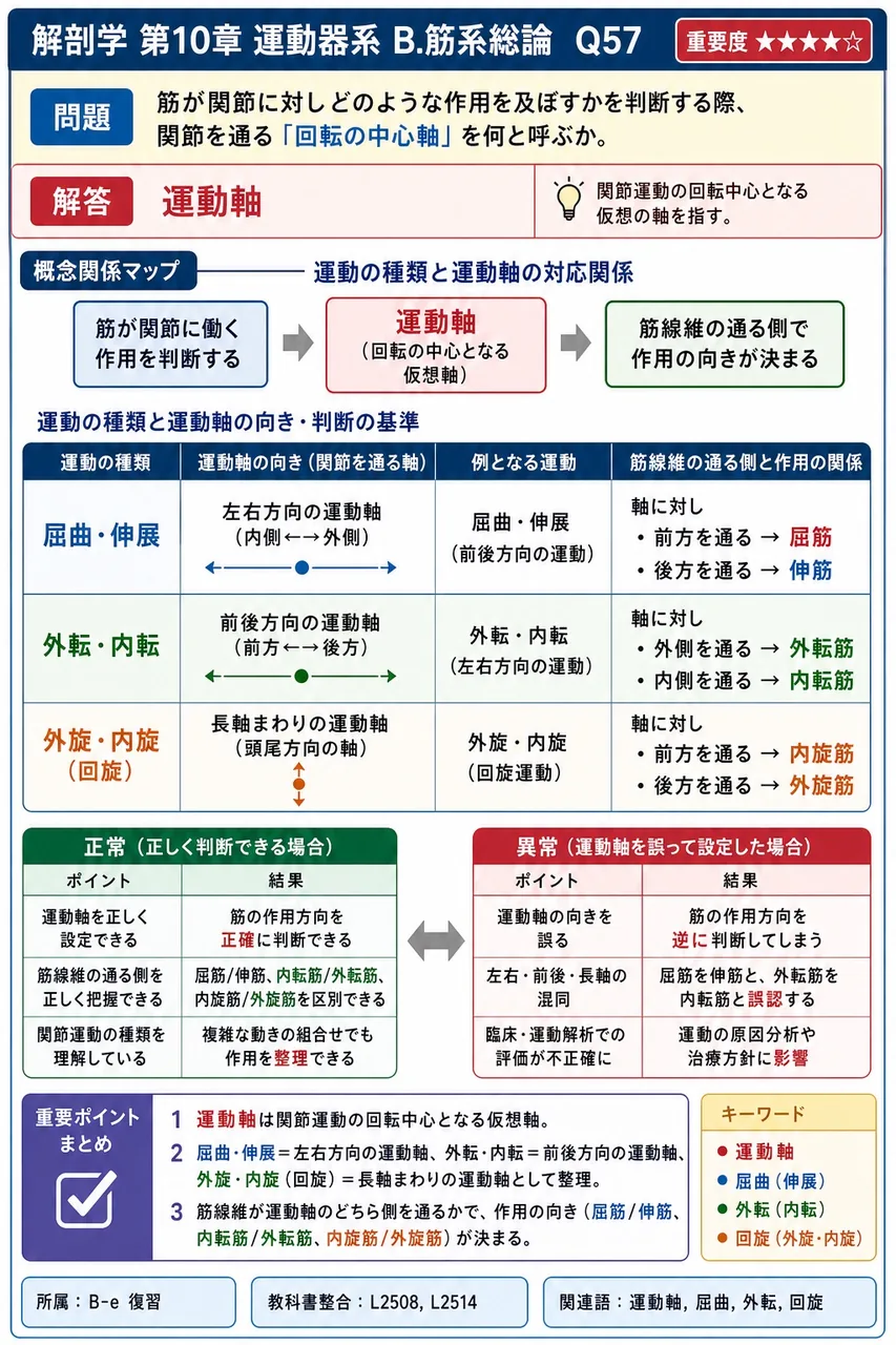 椎間関節を構成する突起の組合せで正しいのはどれか。 解説図