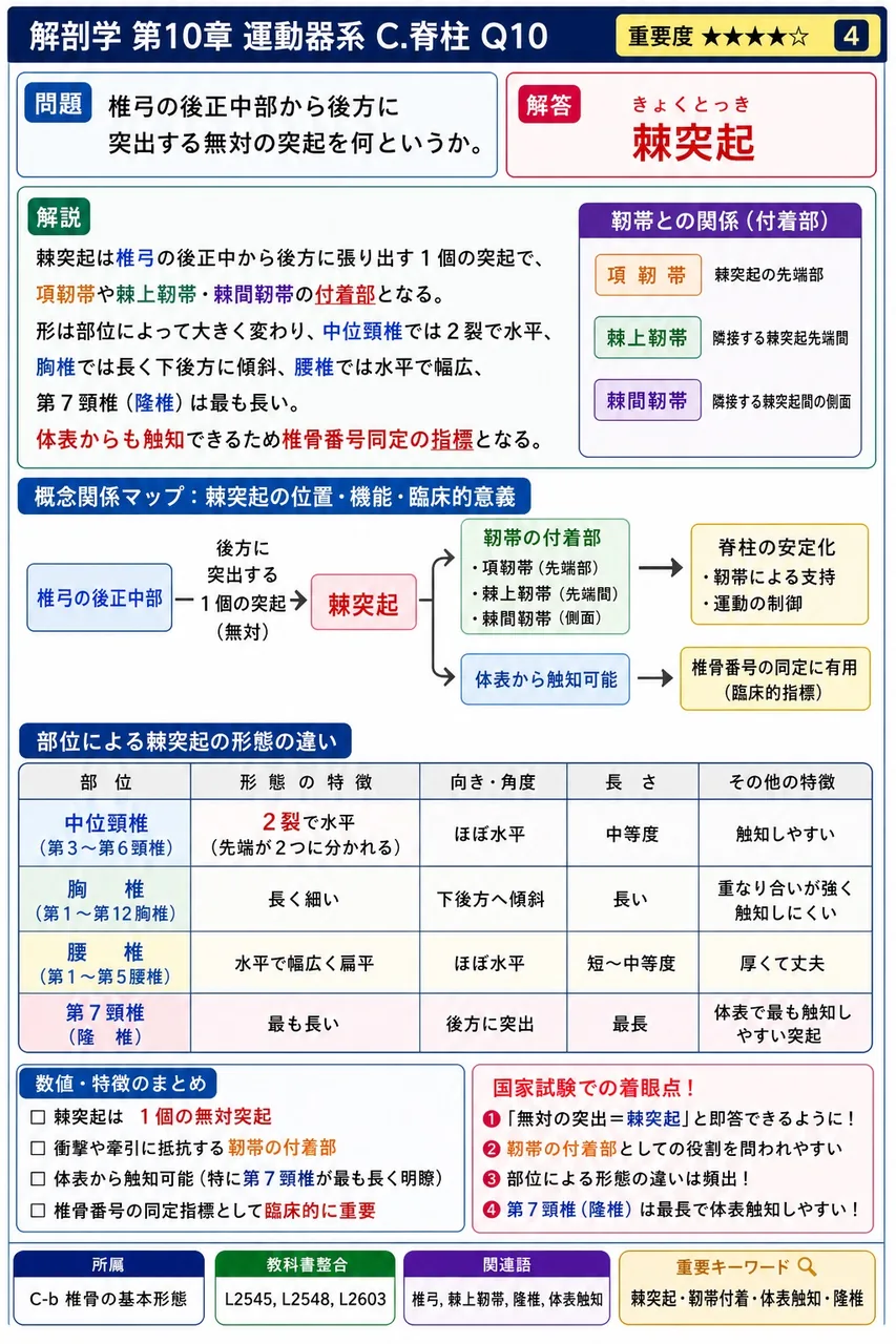 椎間板ヘルニアについて正しいのはどれか。 解説図