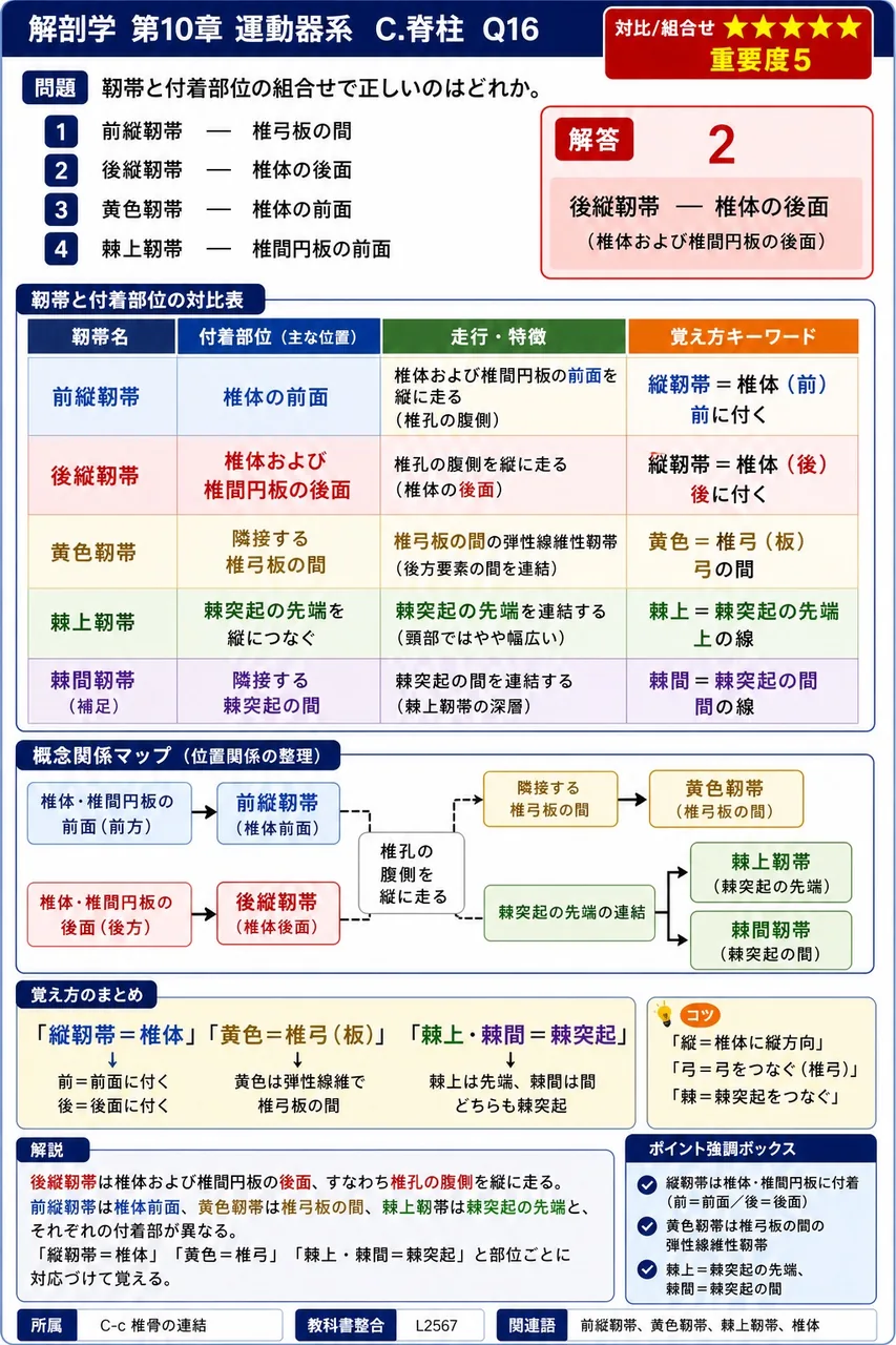 靭帯と付着部位の組合せで正しいのはどれか。 解説図
