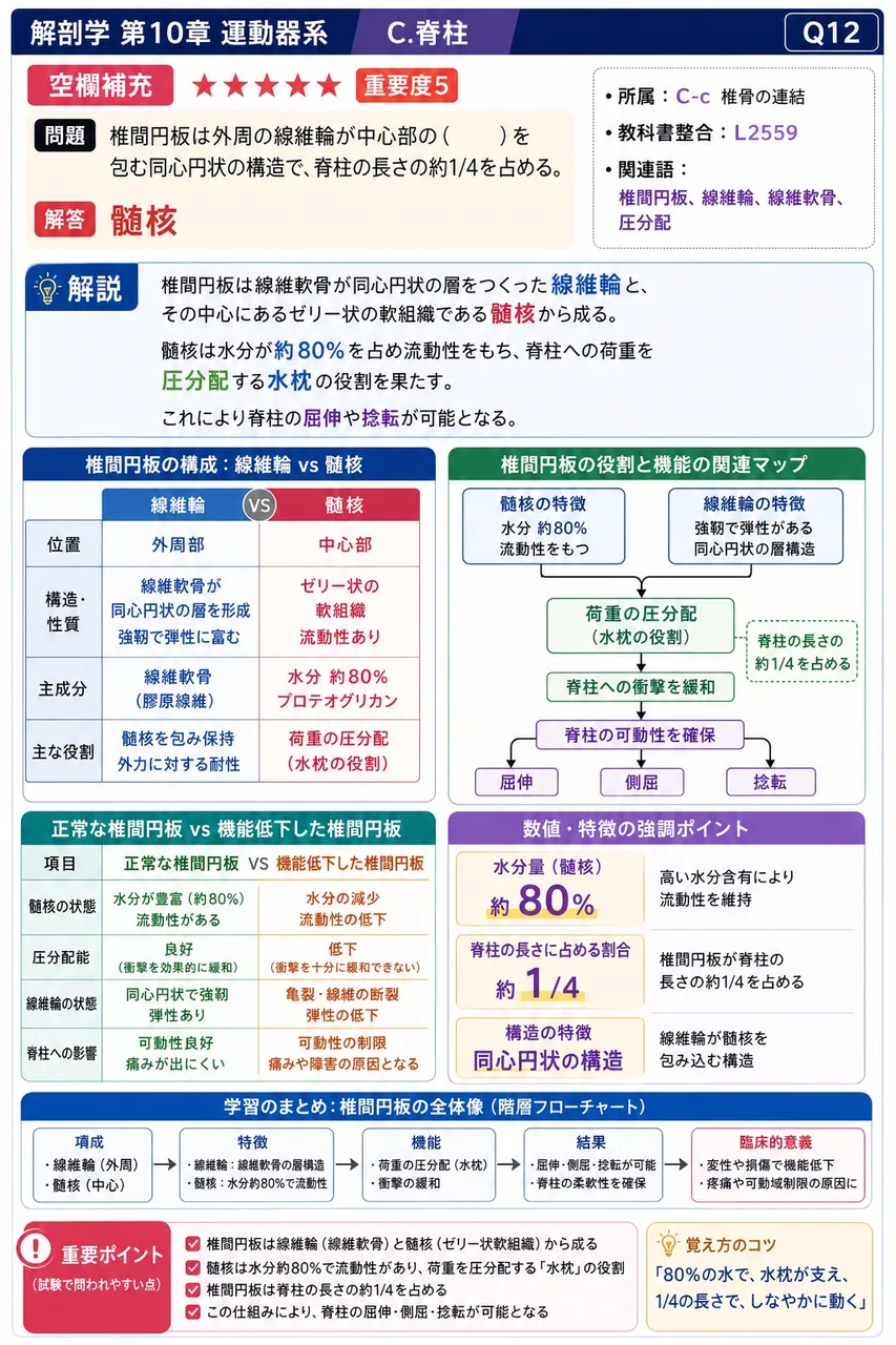 弾性線維を多量に含み淡黄色を呈する靭帯はどれか。 解説図