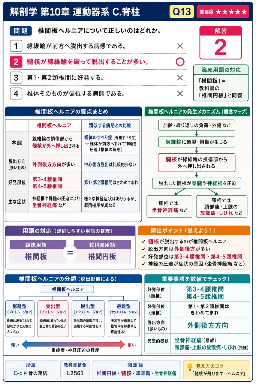 黄色靭帯が付着するのは椎弓のうち、左右の関節突起の間でアーチをなす平らな部分であり、これを( )と呼ぶ。 解説図