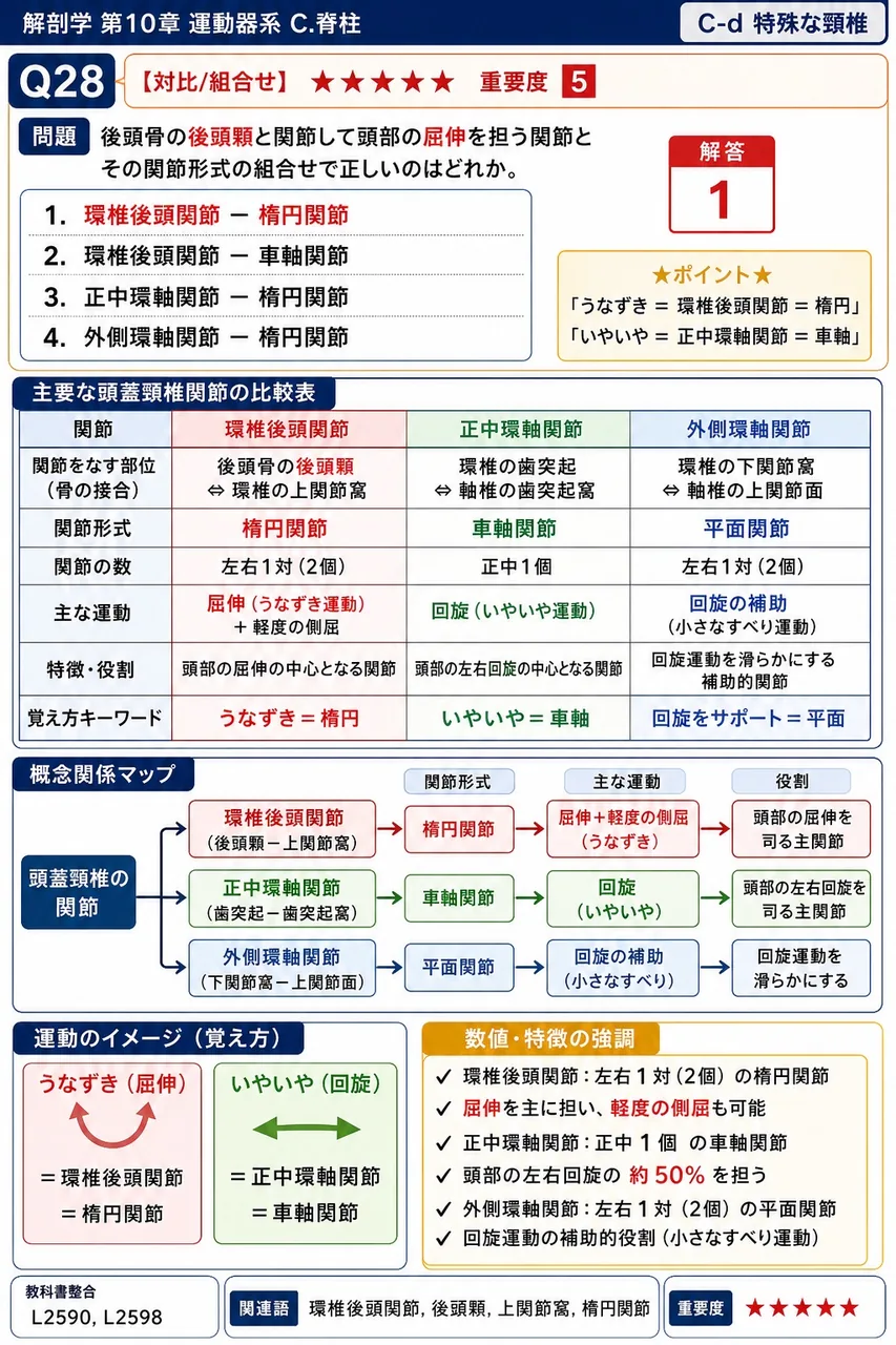 後頭骨の後頭顆と関節して頭部の屈伸を担う関節とその関節形式の組合せで正しいのはどれか。 解説図