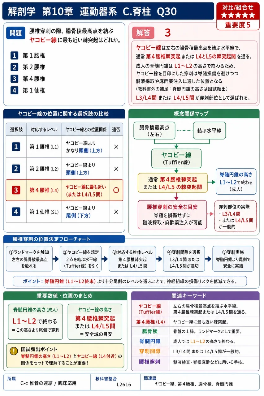 腰椎穿刺の際、腸骨稜最高点を結ぶヤコビー線に最も近い棘突起はどれか。 解説図