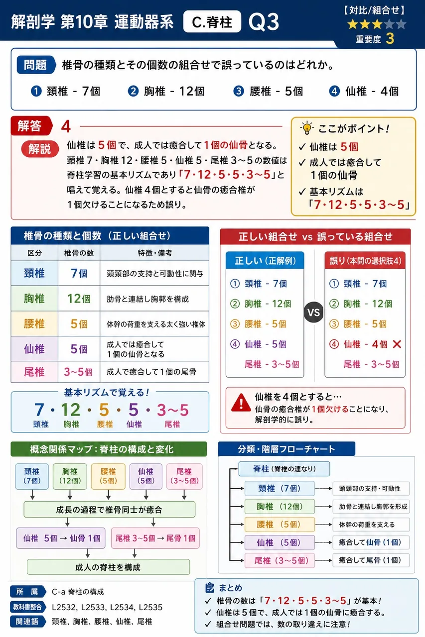 環軸関節を構成する2つの関節の組合せで正しいのはどれか。 解説図