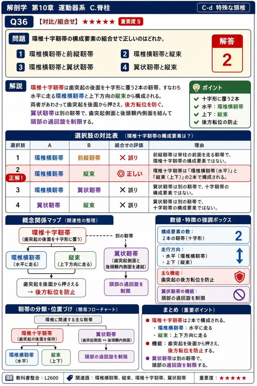 環椎十字靭帯の構成要素の組合せで正しいのはどれか。 解説図