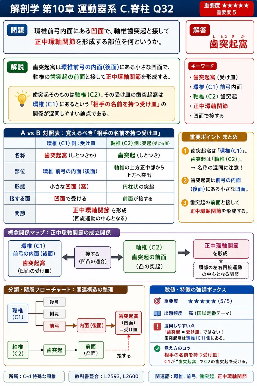 仙骨上面の前縁が前方に突出した部分の名称はどれか。 解説図