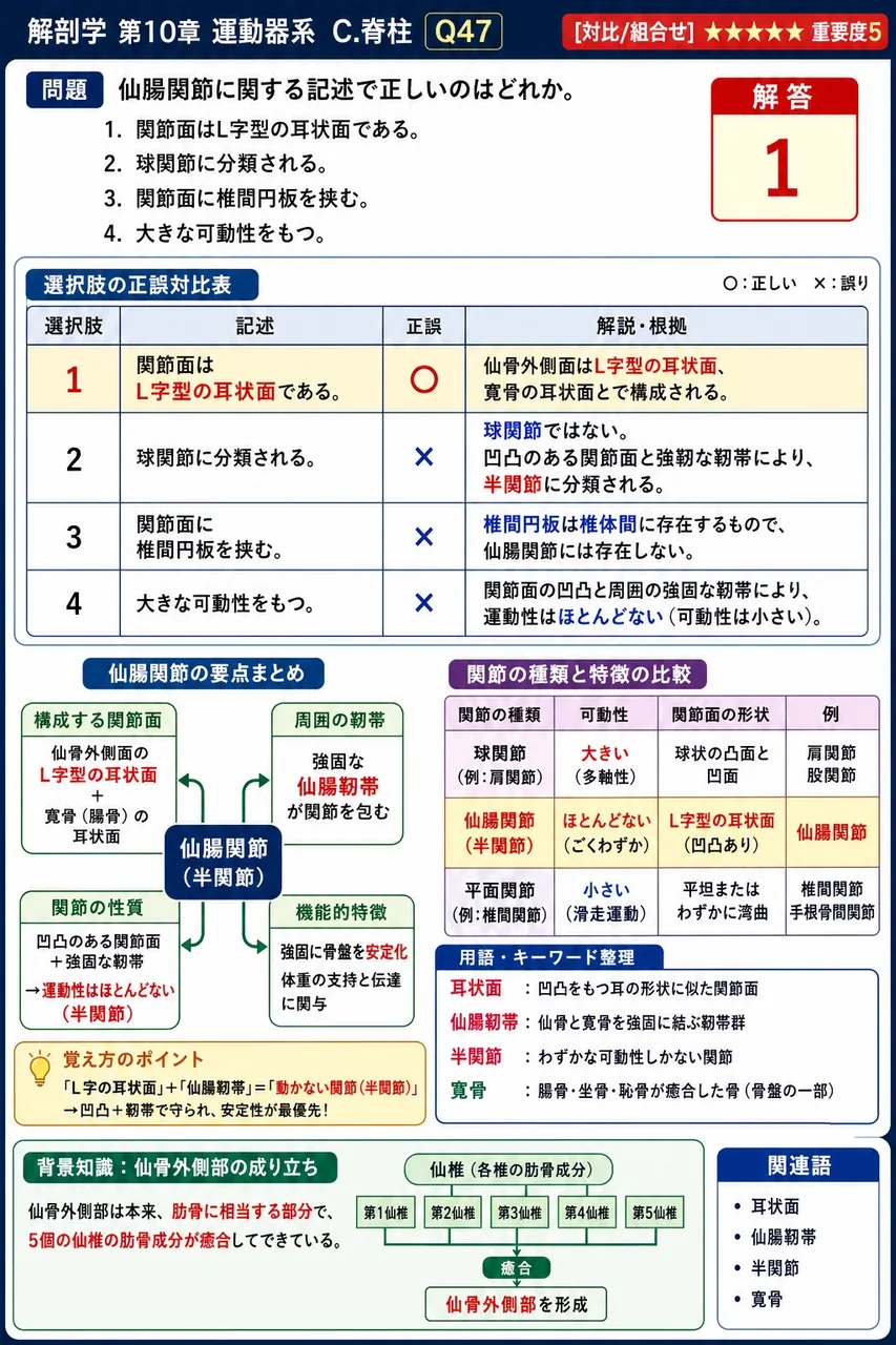 仙腸関節に関する記述で正しいのはどれか。 解説図