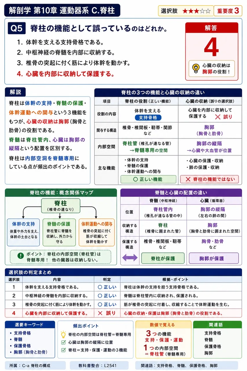 頸椎前弯が形成される時期として最も適切なのはどれか。 解説図