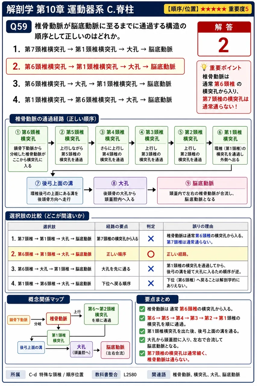 脊柱の靭帯について正しいのはどれか。 解説図