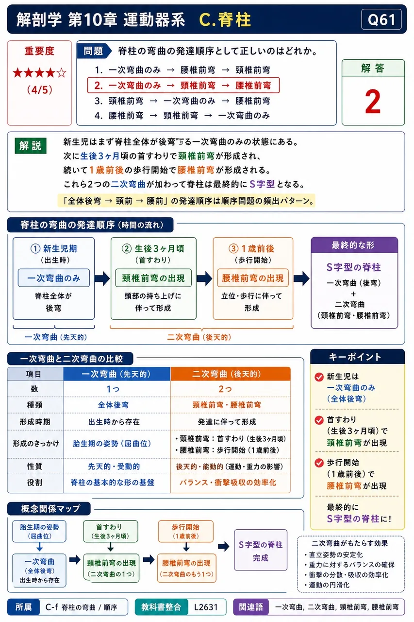 脊柱の弯曲の発達順序として正しいのはどれか。 解説図