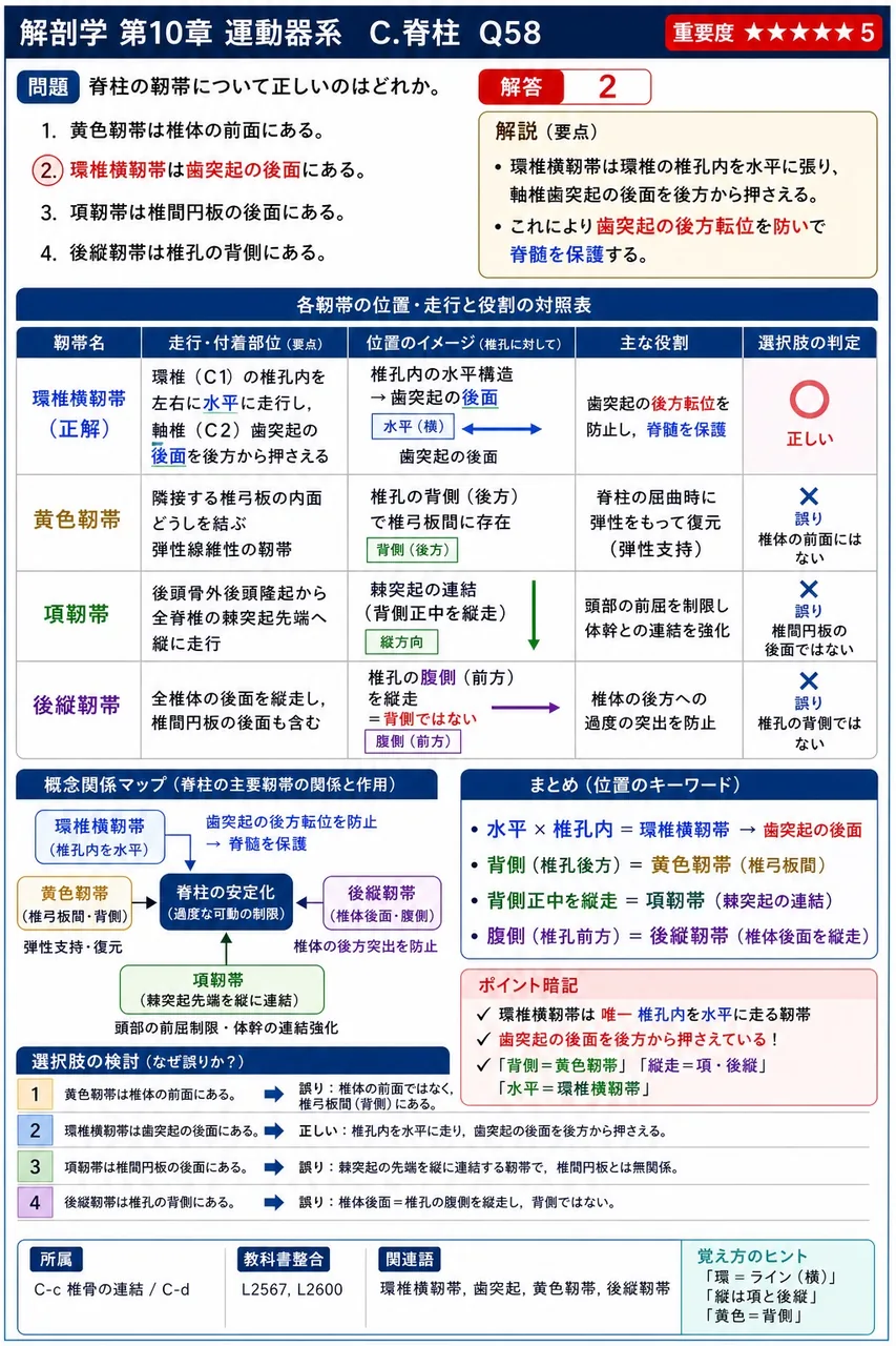 脊柱靭帯と主機能の組合せで誤っているのはどれか。 解説図