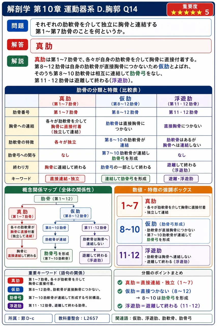 胸郭の構成骨に**含まれない**のはどれか。 解説図