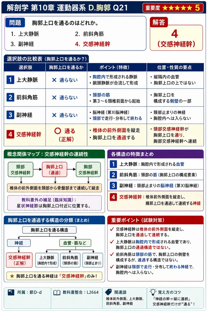 胸骨を上方から下方へ3つの部分に分けたとき、その3部の名称を上から順に答えよ。 解説図