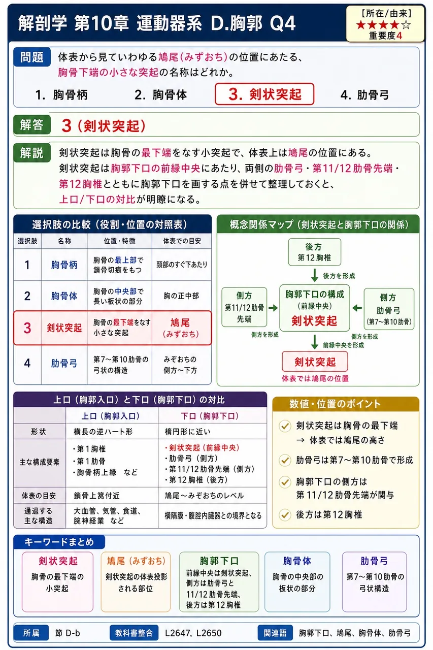 体表から見ていわゆる鳩尾(みずおち)の位置にあたる、胸骨下端の小さな突起の名称はどれか。 解説図