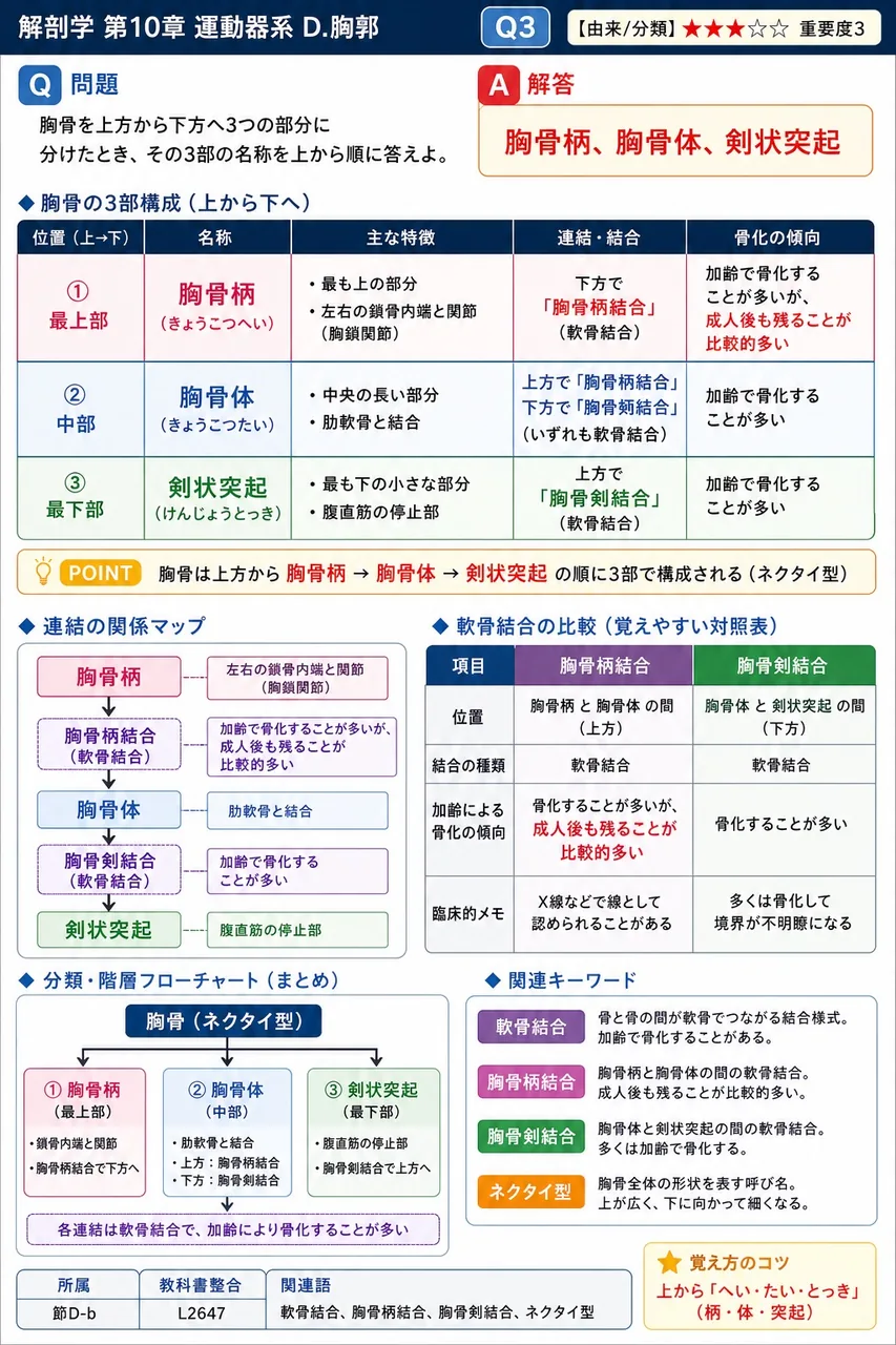 胸骨角に連結する肋骨はどれか。 解説図