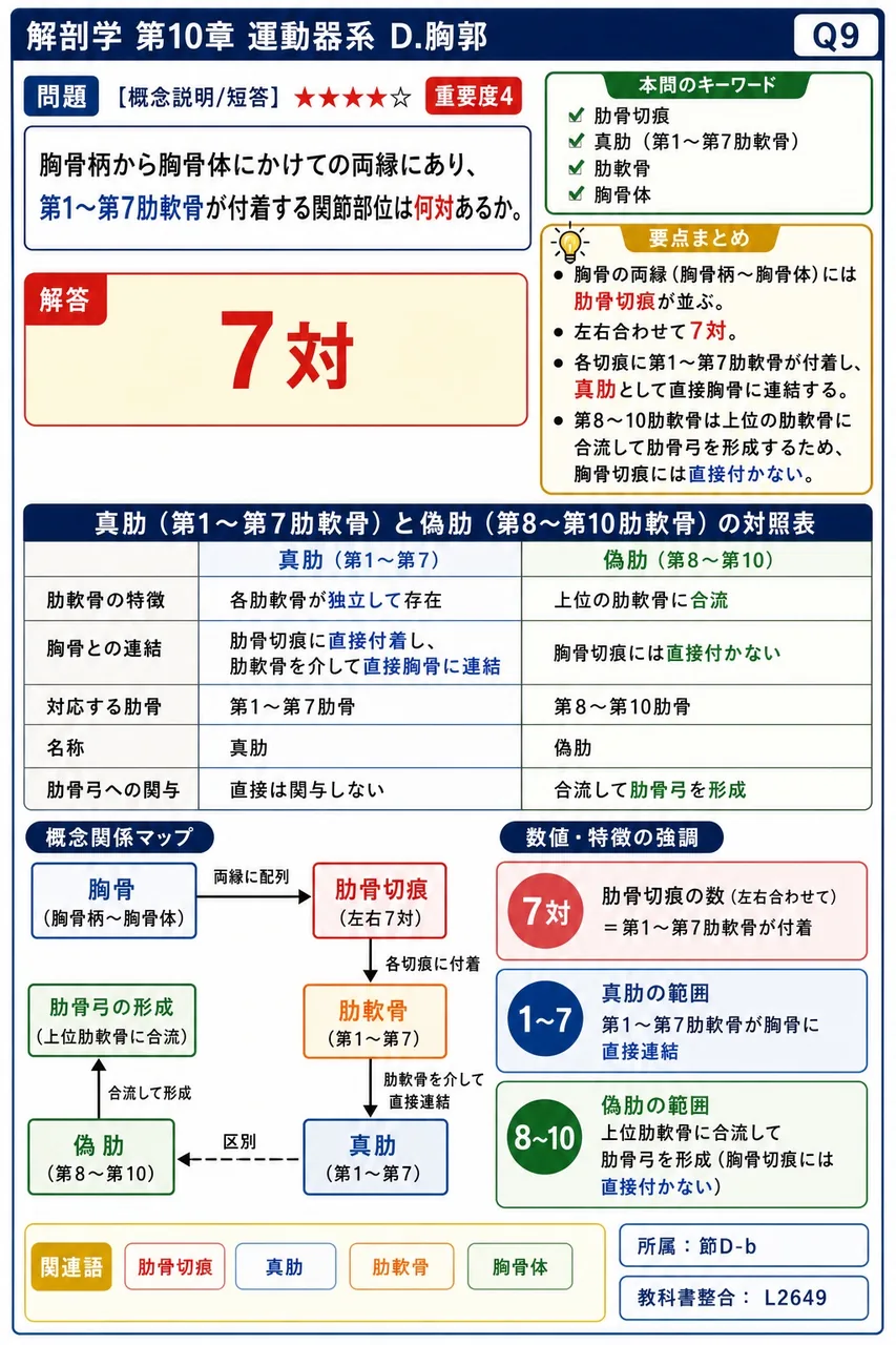胸骨柄から胸骨体にかけての両縁にあり、第1〜第7肋軟骨が付着する関節部位は何対あるか。 解説図