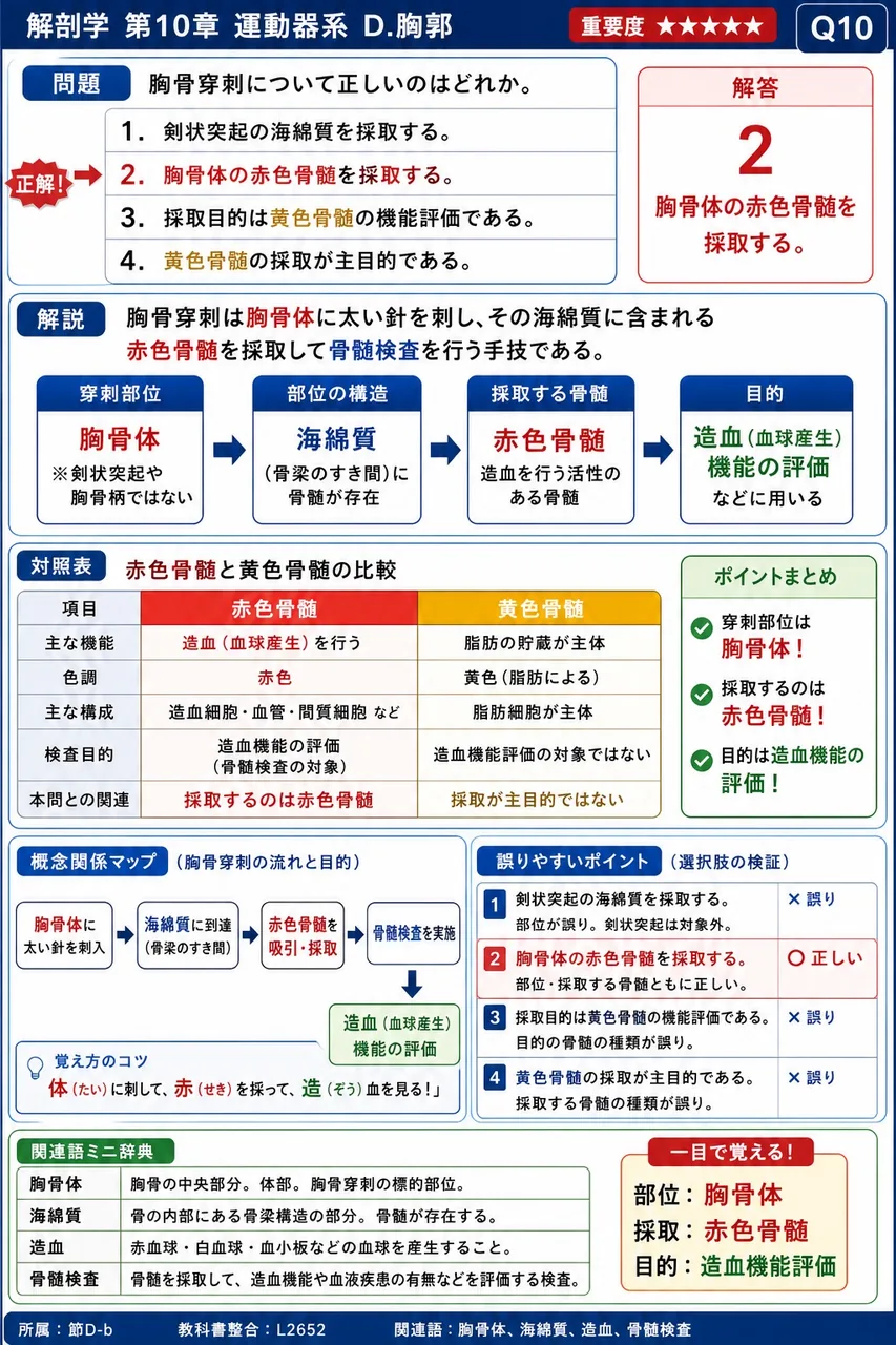 胸骨穿刺について正しいのはどれか。 解説図