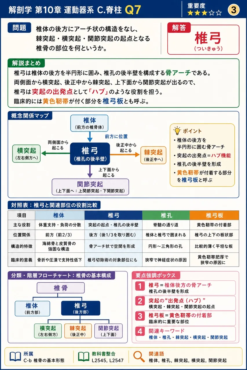 肋骨と胸椎の関節について、組合せの正しいのはどれか。 解説図