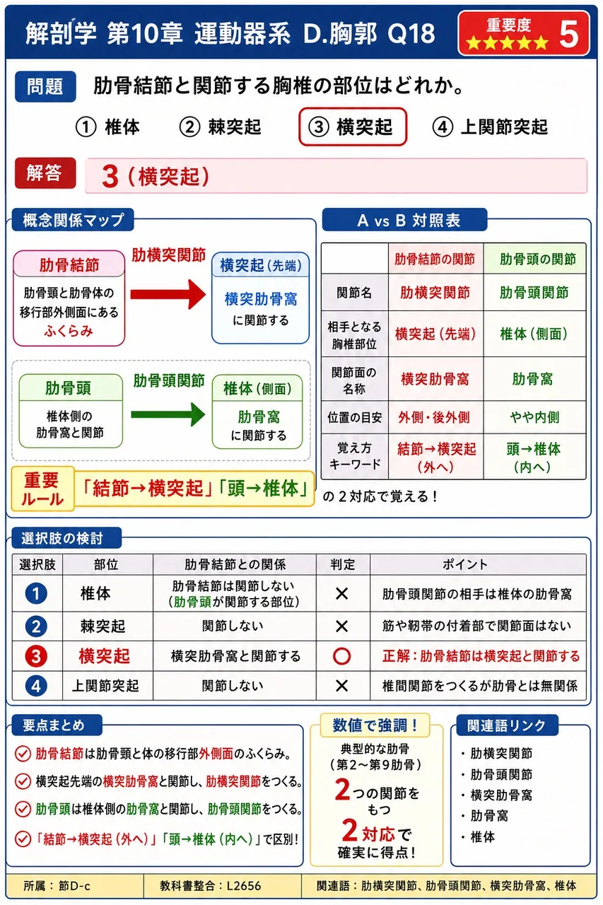 肋骨結節と関節する胸椎の部位はどれか。 解説図
