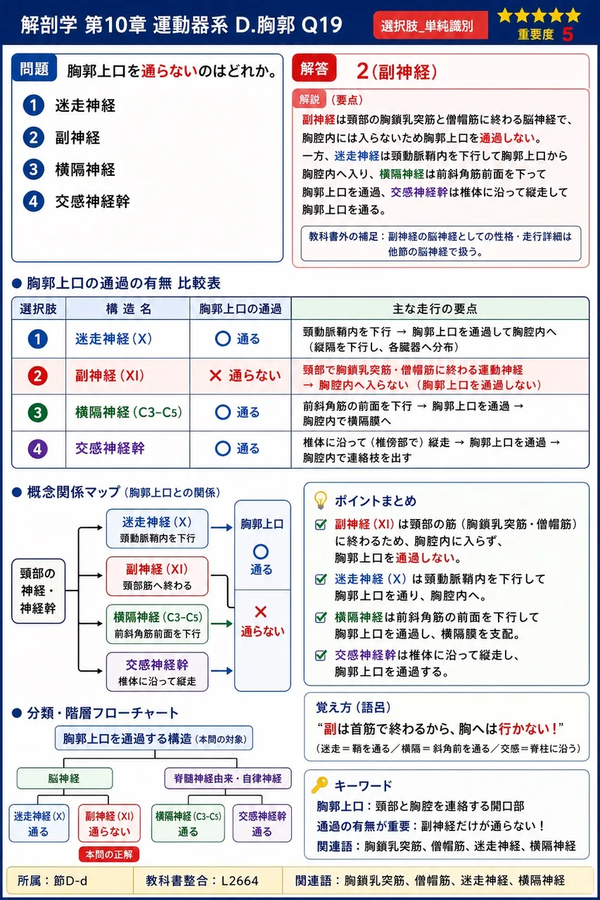 胸郭上口を**通らない**のはどれか。 解説図