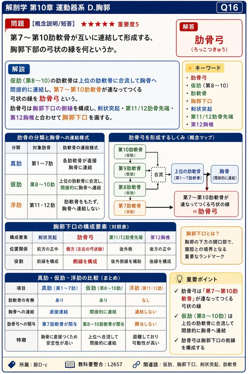 胸郭上口の境界として正しい組合せはどれか。 解説図